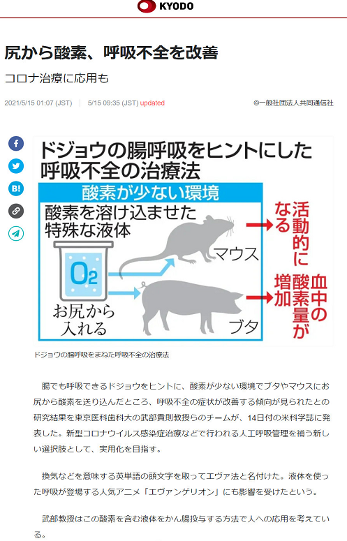 日本教授受到動畫《EVA》的影響，研發了一種通過屁股呼吸的液體