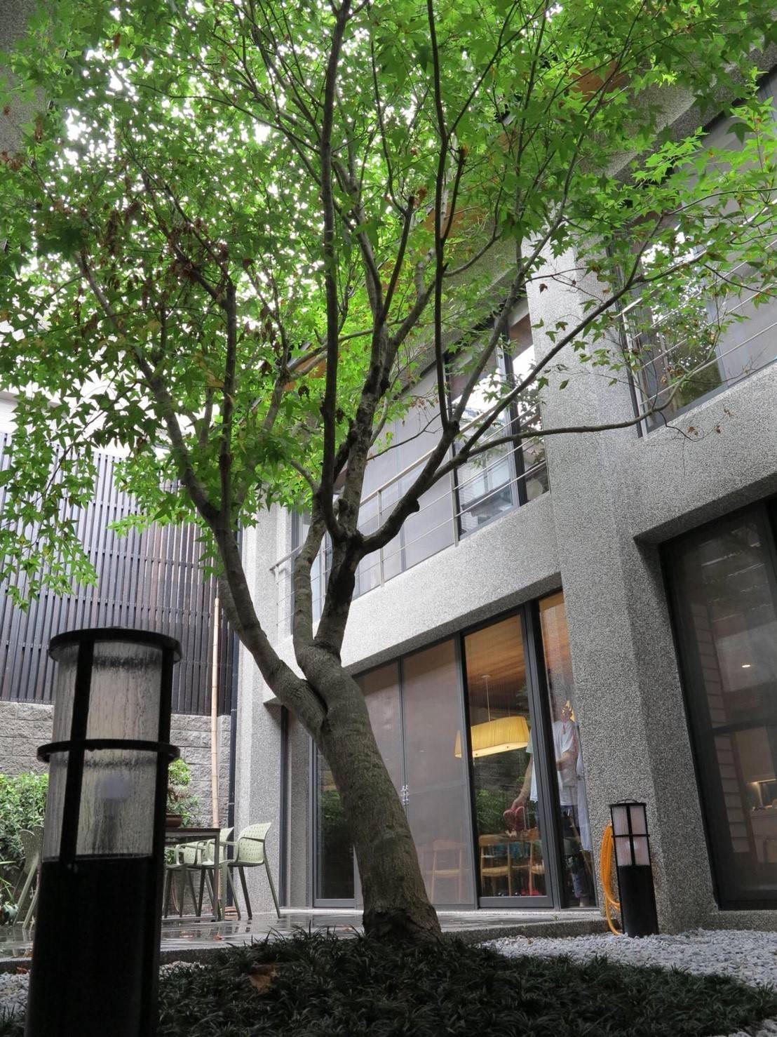 72歲醫生花2年「替失智母打造陽光玻璃屋」母子同住 「全依媽媽需求設計」各自擁空間:想親自守護