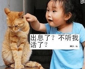 這些搞笑的太逗了,你不笑算我輸