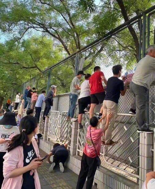 「狠心」媽媽讓失明兒子獨自上學,路人默默伸出援手,感動網友:我終歸會離開,讓他學會獨立。