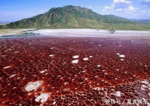 這個湖水不能碰！沒有生物可以生存 一旦觸摸就會石化 這就是「納特隆湖」：也稱它為《冥河》