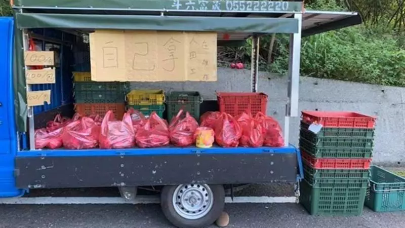 老闆還在田裡!貨車上擺火龍果「一袋100自己拿」 10個小時後「回到車上秒傻住」:不愧是台灣