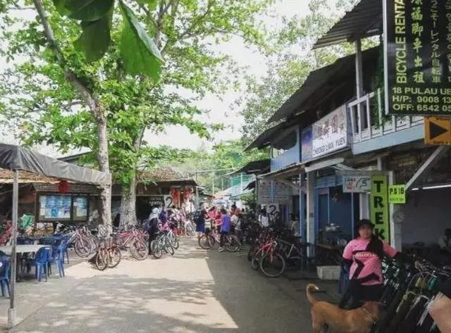 新加坡最後一個農村,村民不到百人,還保留60年代的風貌