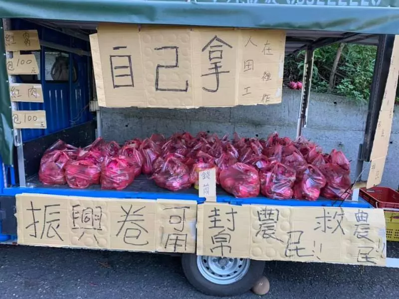 老闆還在田裡!貨車上擺火龍果「一袋100自己拿」 10個小時後「回到車上秒傻住」:不愧是台灣