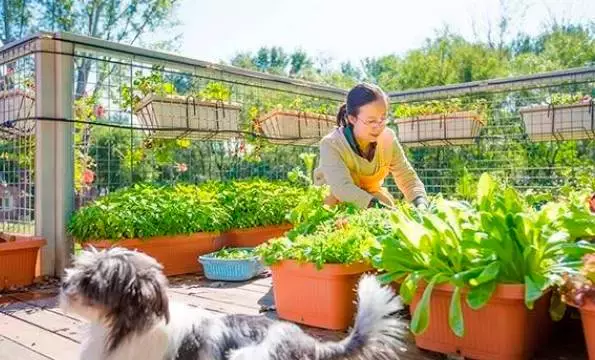 一家三口都能住!52歲阿貝買不起房,花120萬用6貨櫃為妻子造67坪「世外桃源」別墅,花草環繞走進如進仙境