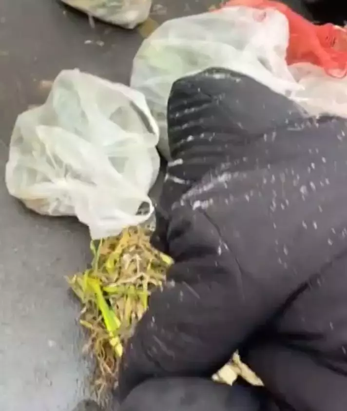 老人雪天寒風中賣菜,蜷縮一團等顧客,女子掏錢把菜全部買光:希望他早點回家