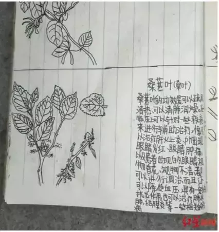 兒子期末考超爛！爸爸偷翻書包「發現神秘小本本」頻嘆氣　一打開「網友全嚇傻」：生了個天才啊 