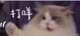 《更衣人墜入愛河》第二集畫面太暴露，有女性怒批這就是男凝動漫