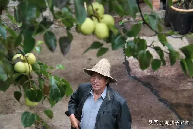 一開門就見山林!61歲老伯偕老伴「隱居深山崖下」30年老宅 夏天無須開冷氣「天天下田種菜」宛若人間仙境