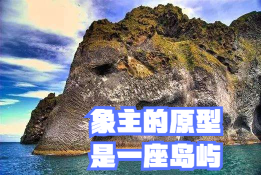 海賊王1041話分析,象主可能是「能力者」,接下來將上島進行戰斗