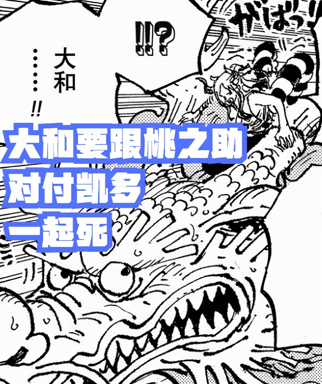 海賊王1043話,大和要跟桃之助一起赴死,御田收獲兒媳婦