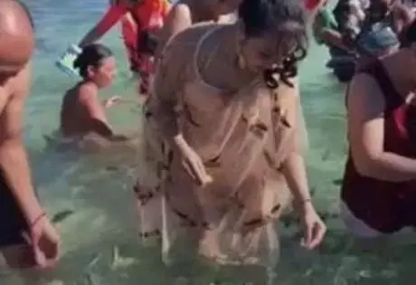 泳衣太貴!正妹穿裙子到海邊游泳 站起身時 「成海灘絕美風景」遊客笑翻:水產超豐富
