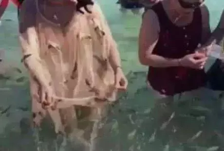 泳衣太貴!正妹穿裙子到海邊游泳 站起身時 「成海灘絕美風景」遊客笑翻:水產超豐富