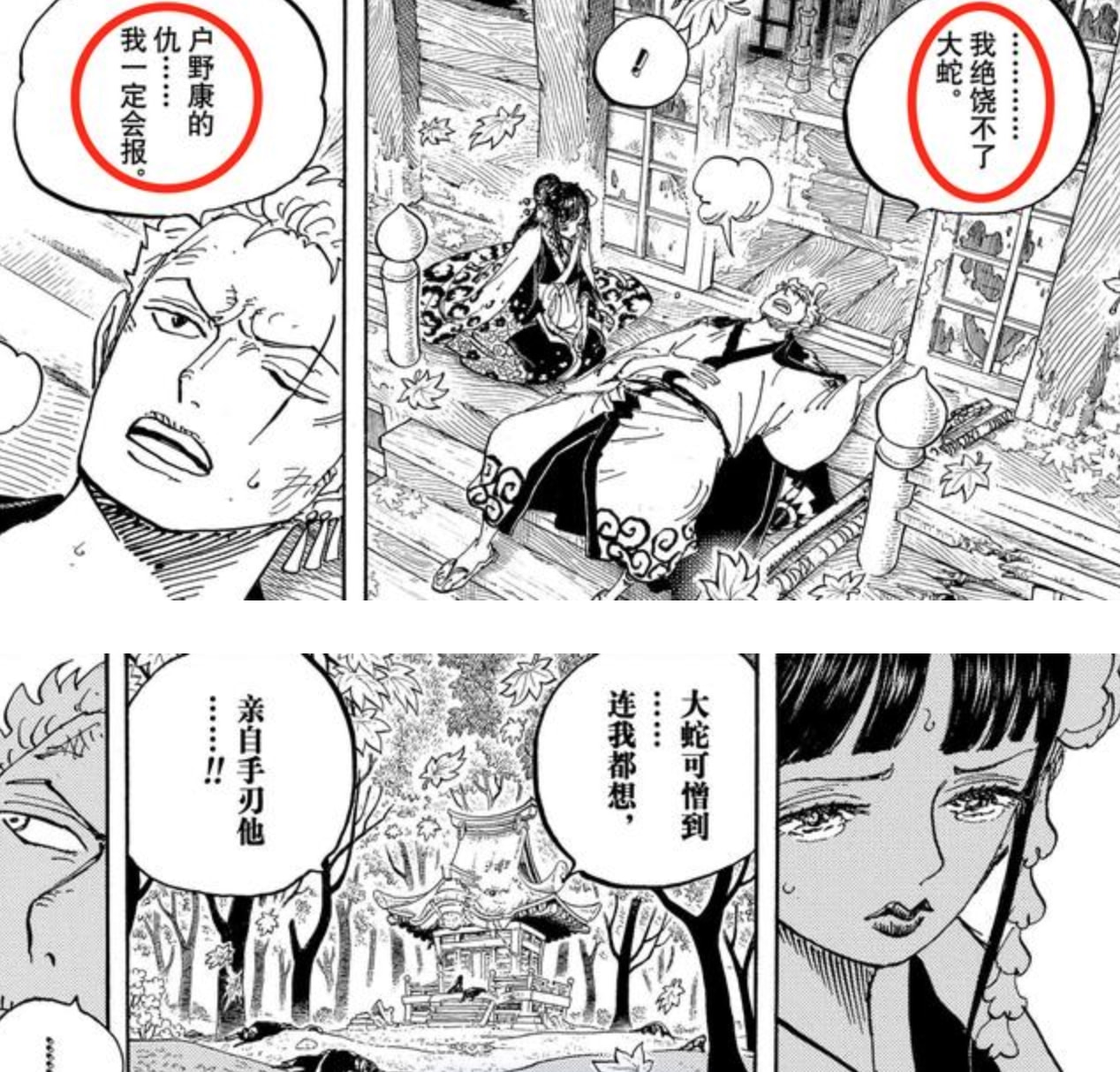 海賊王1048話:情報師透露索隆、基拉出現,有一道斬擊擊中凱多