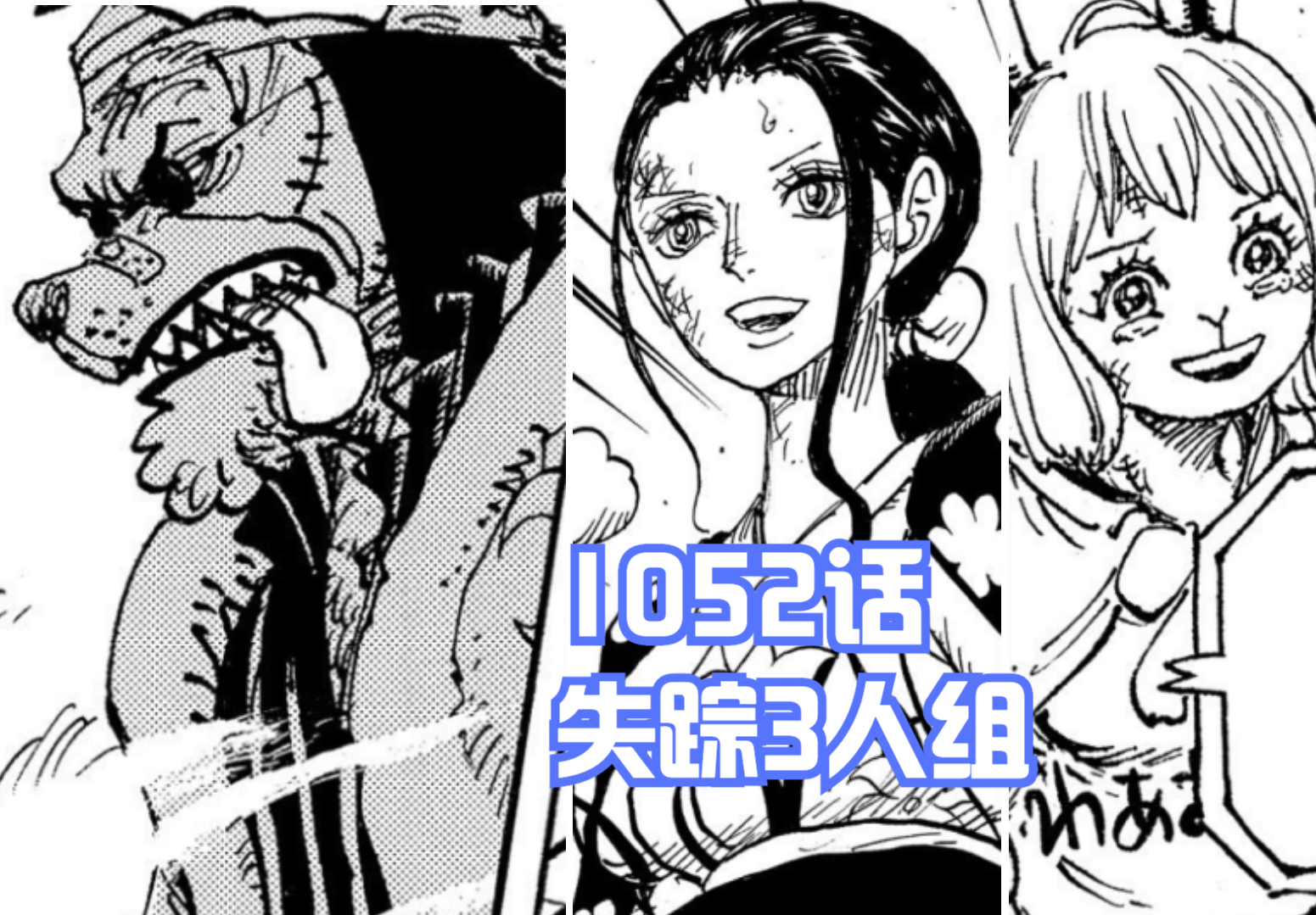 海賊王1052話分析,羅賓跟犬嵐去看歷史正文,揭曉「天王」的秘密
