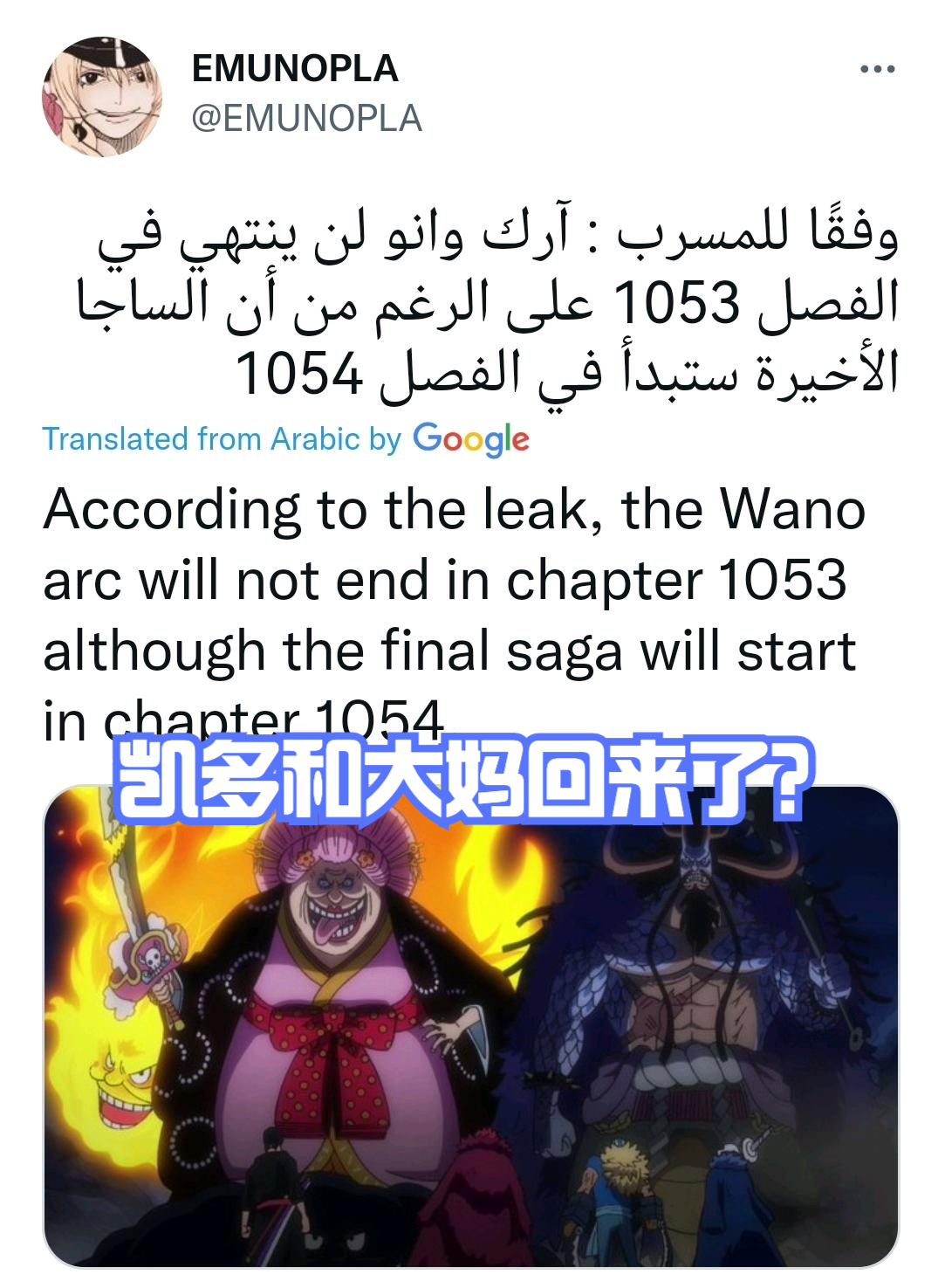 海賊王1053話,和之國篇還沒結束,綠牛會露臉,羅賓拓印歷史正文