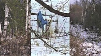主人猝逝...愛犬嚇到失蹤！家人在樹林掛「爸爸穿過的衣服」竟現奇蹟：找到牠了QQ