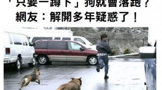 網友：解開多年疑惑了！為什麼人被狗追時「只要一蹲下」狗就會落跑？