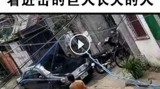 看三種動漫長大的人