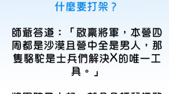 將軍果然不同凡響，別人用駱駝也沒你那麼強...