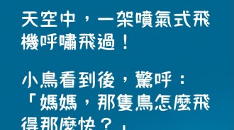 原來這就是小鳥和噴氣式飛機的差別....