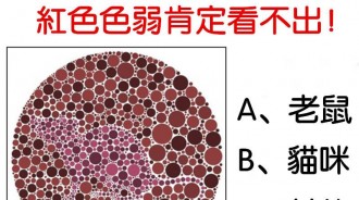 紅色色弱肯定看不出！