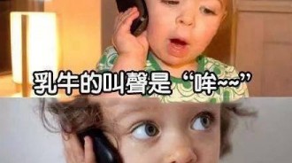 乳牛和黃牛的分別... 小孩神回覆！