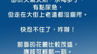 迫不得已....在緊急狀況下阿福只能這樣回答了