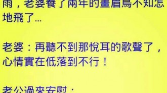 世界上竟然有這種鳥....懂得人好像要去面壁!?