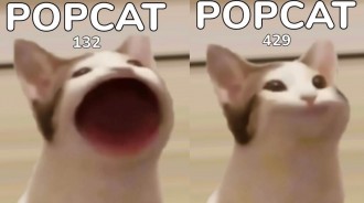 「迷因貓POPCAT」到底是什麼？掀台灣網友點擊熱潮，衝到第一名！
