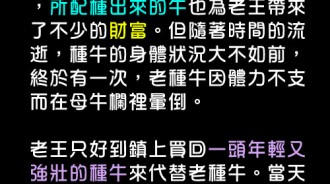 老王思慮不周，讓老牛受委屈了！！搞不清楚狀況！！