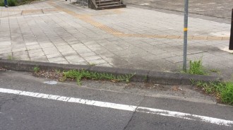 有看到嗎？這張街景圖有一顆「西瓜」找到脫窗：真的是西瓜！