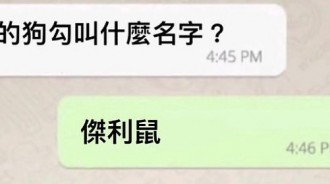 狗狗：你禮貌嗎？