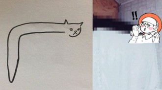 老師要學生畫貓，他畫這樣得0分...結果貓咪本人一現身：哪裡錯啦？
