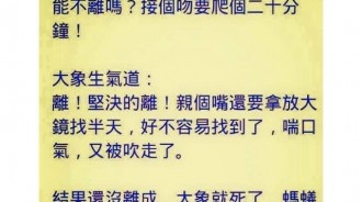 失去了才知道後悔? 重點是大象跟螞蟻怎會結婚XD