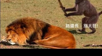 江湖走跳…人都是會變的！