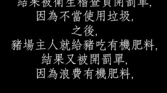 到底怎樣才不會造成浪費，這位養豬主人終於找到「答案」了