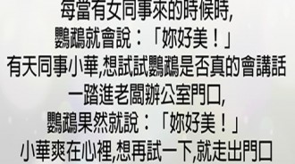 聰明的鸚鵡，最後卻說了讓老闆臉紅心跳的一句話！