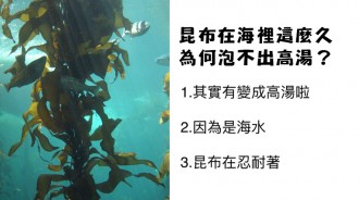 水族館出題要考考大家...「昆布在海裡為何泡不出高湯？」