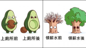 酪梨寶寶上廁所！藝術家畫出「物品擬人插畫」超爆笑　可愛醋飯「開學秒變鮭魚壽司」可愛又真實❤️