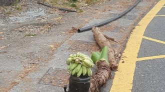 趁放假去跑山，竟在路邊發現詭異陣法！網友看了大驚：不要問太多！快走！