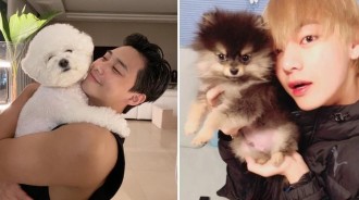 歐巴也愛小動物❤️韓男神「與毛孩的療癒日常」　壯碩手臂「緊摟蓬鬆小貴賓」網尖叫：想當那隻狗狗