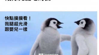 剛剃完腿毛的我和朋友炫耀時···