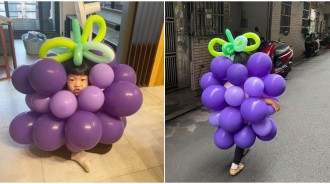就是不想當公主！女兒「萬聖節堅持扮一串葡萄」爸超無奈　媽媽「神打造獨一無二葡萄裝」超古錐❤