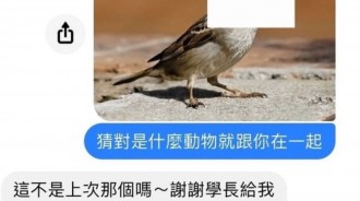 這答案…怎麼跟上次說好的不一樣？！