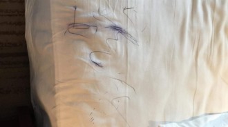 入住五星飯店！女兒「原子筆畫床單」被要清潔費　爸爸質疑「我有主動告知」網笑：很佛心了 
