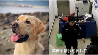 在逃嫌疑犯「報警協尋愛犬」！細心警察「調監視器畫面」當場上銬：就是你！