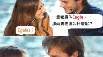 一隻老鷹和兩隻的差別？
