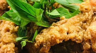 買鹹酥雞加點30元九層塔，一開袋傻眼：「老闆，你贏得我的尊重。」