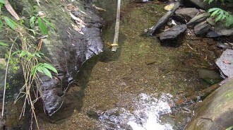 村民山下捕魚 卻意外捕獲「黑色的小家夥」，看清後不淡定：祖輩的話是真的